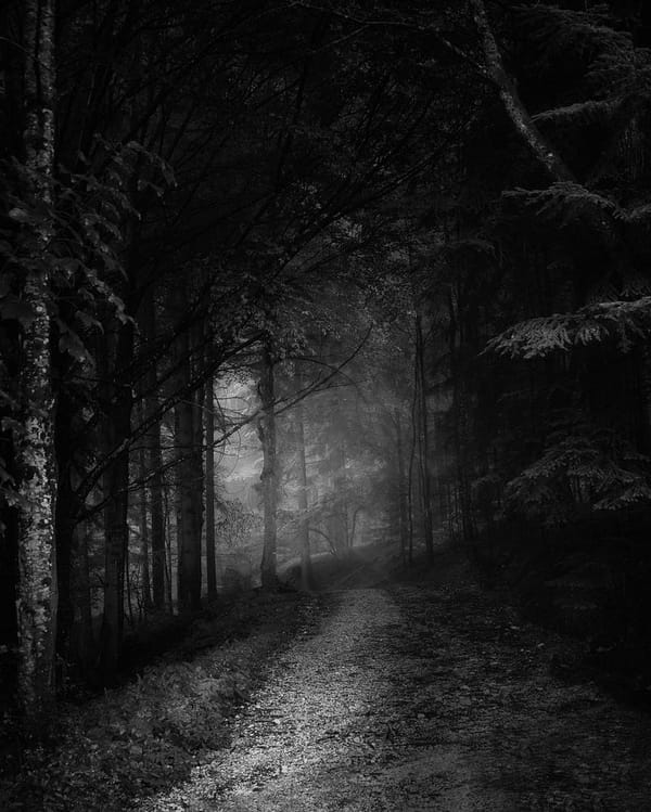 Passing into Mirkwood
